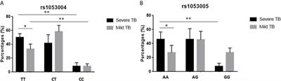 Genetics and Functional Mechanisms of STAT3 Polymorphisms in Human Tuberculosis